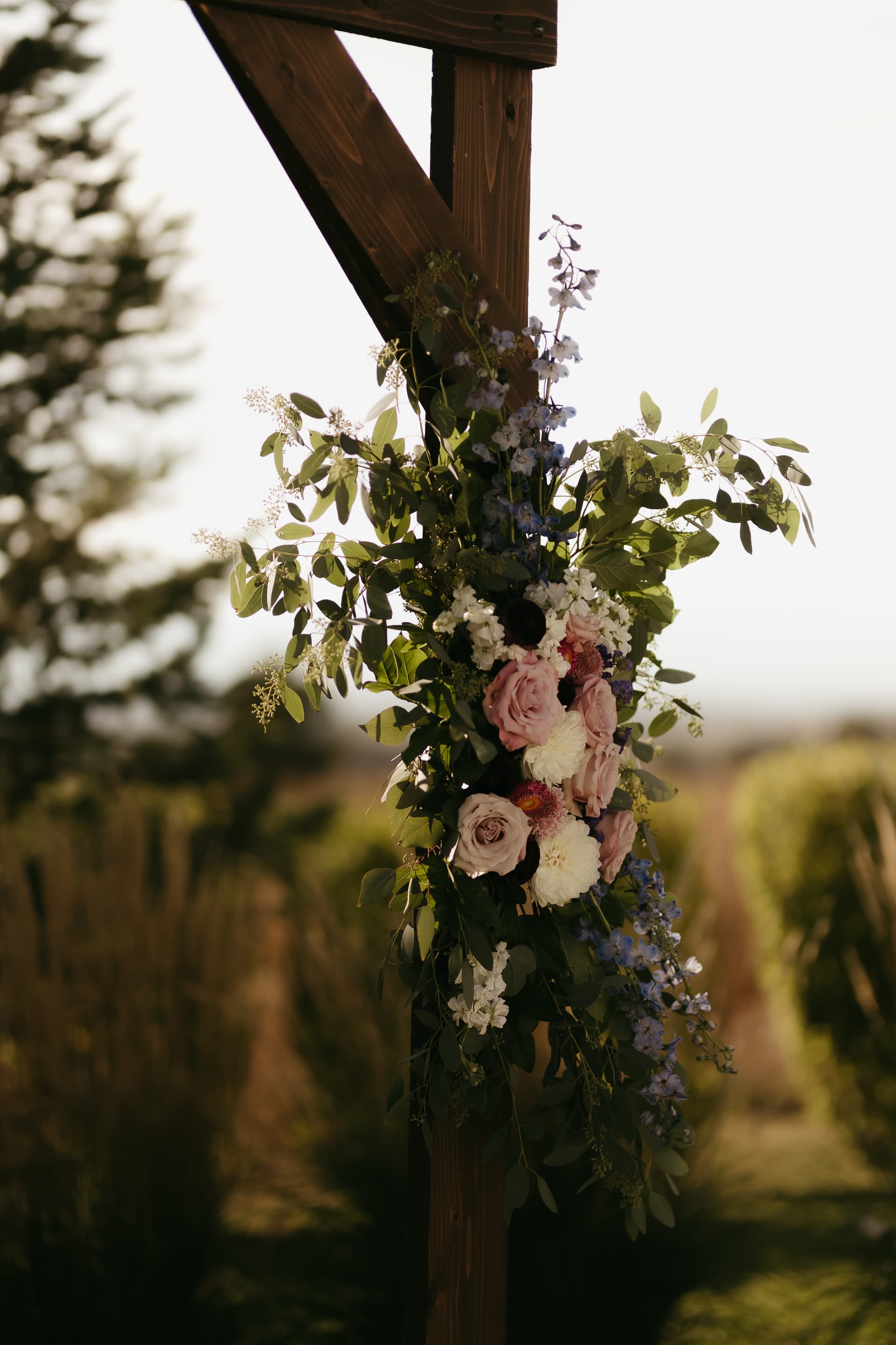 Testimonial background