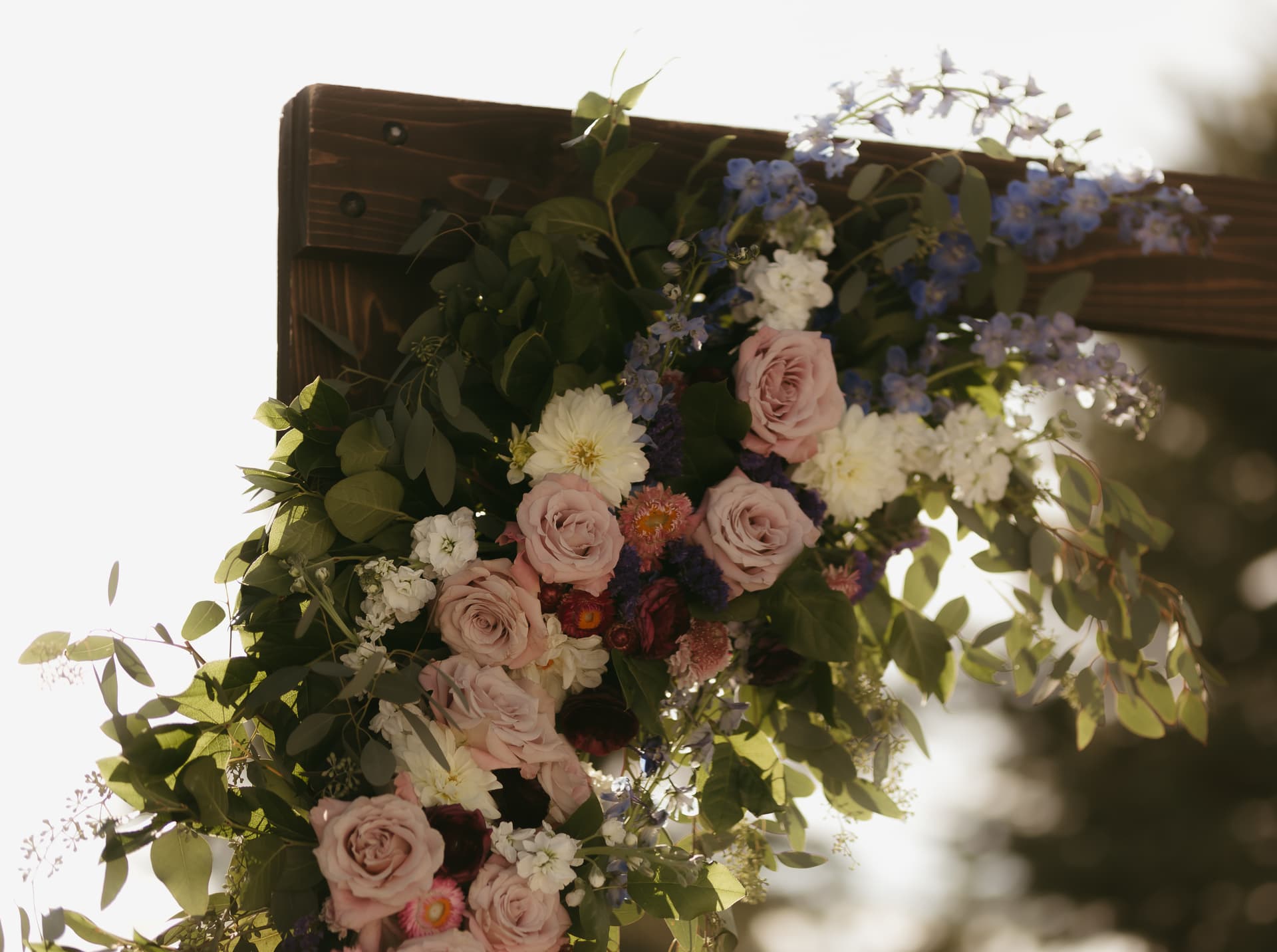 Testimonial background